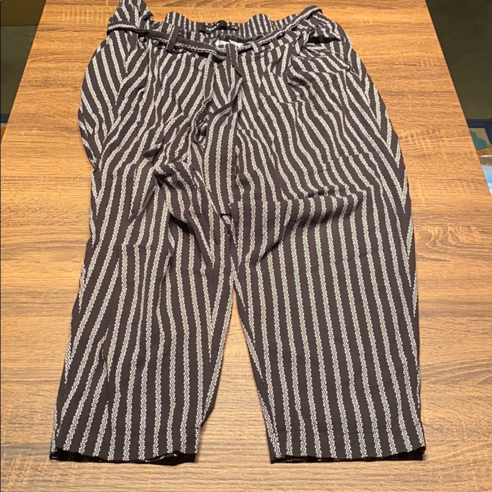 Torrid pants